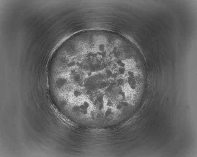 X0000080680925200701051030