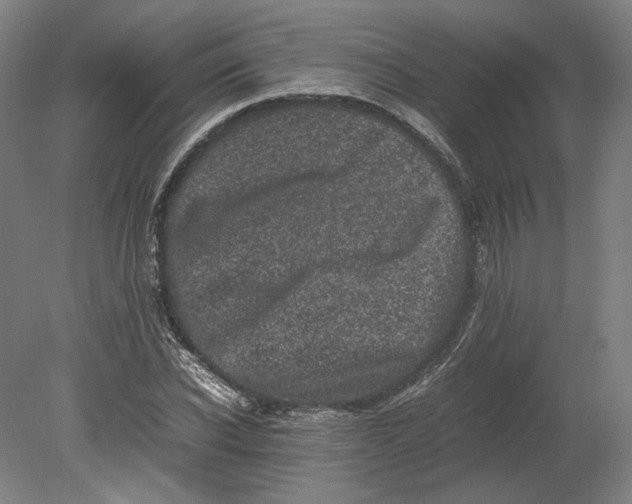 X0000080680926200701051030