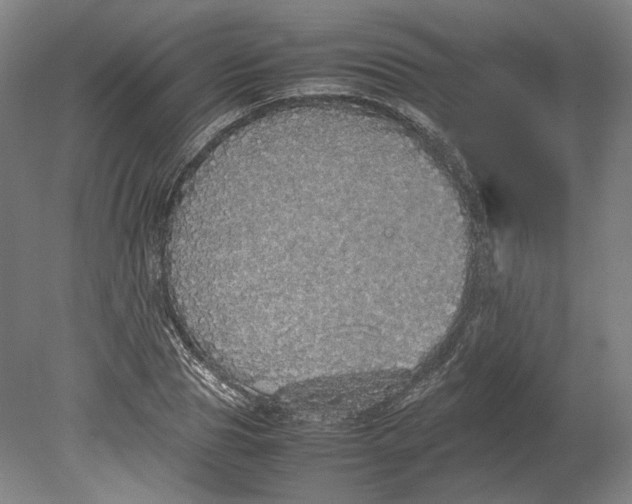 X0000080680929200701051030