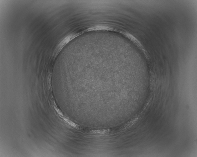 X0000080680937200701051030