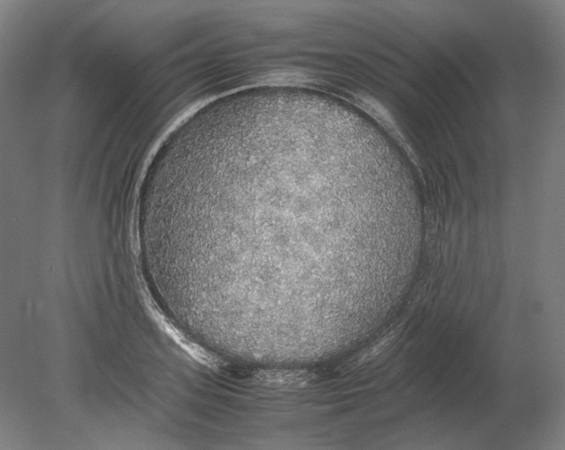 X0000080680939200701051030