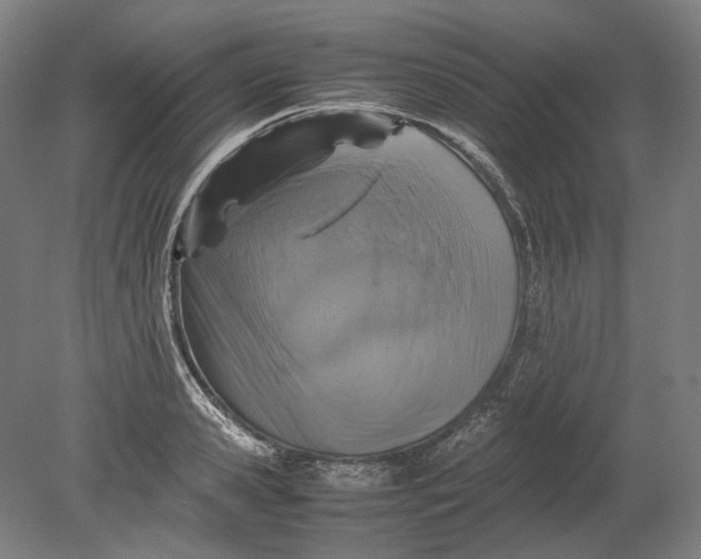 X0000080680941200701051030