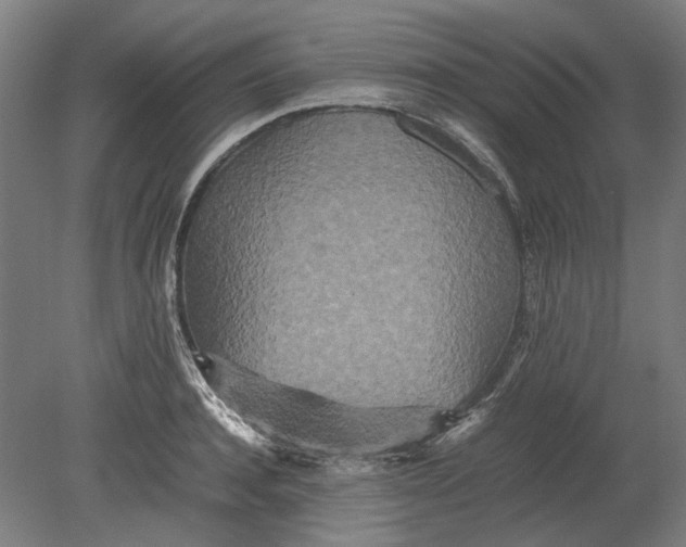 X0000080680944200701051031