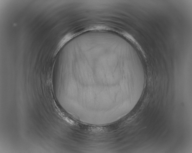 X0000080680945200701051031