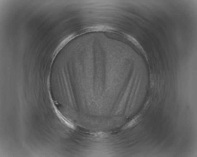 X0000080680946200701051031