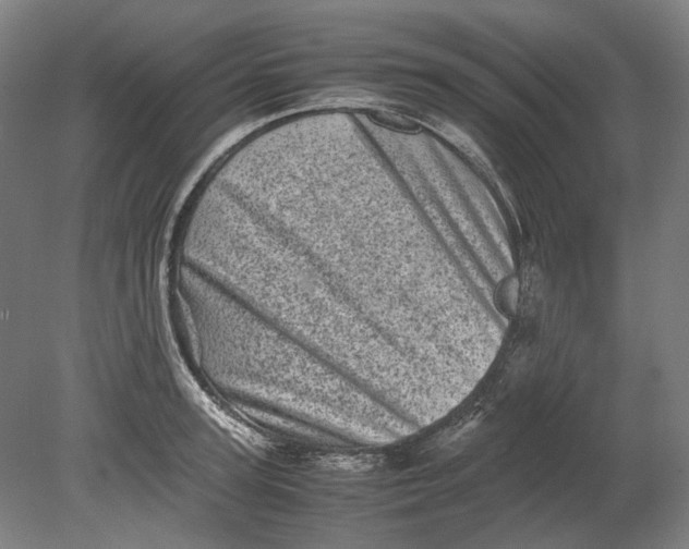 X0000080680947200701051031