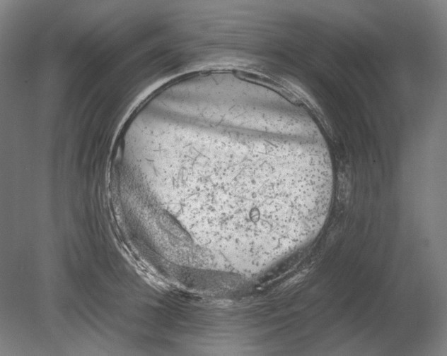 X0000080680948200701051031