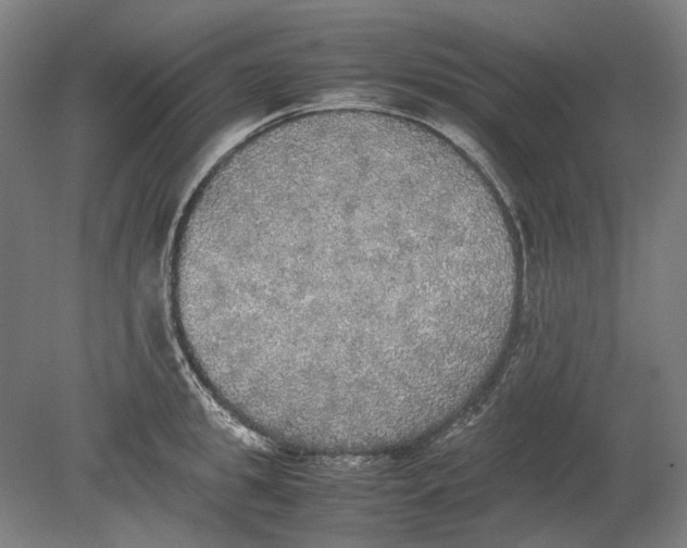 X0000080680949200701051031