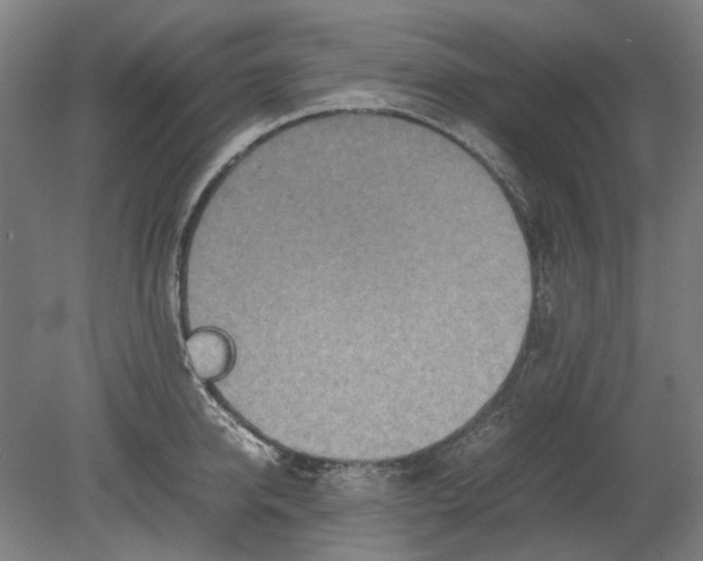 X0000080680950200701051031