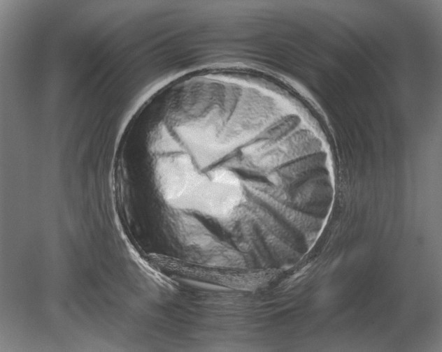 X0000080680951200701051031