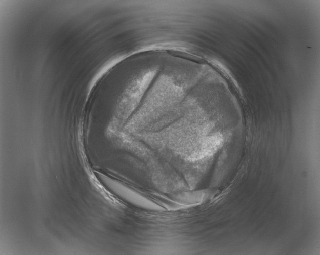 X0000080680952200701051031