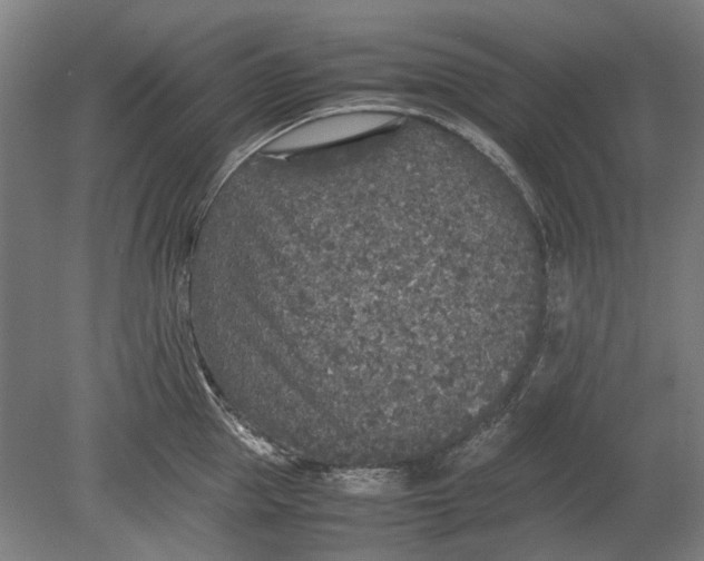 X0000080680953200701051031