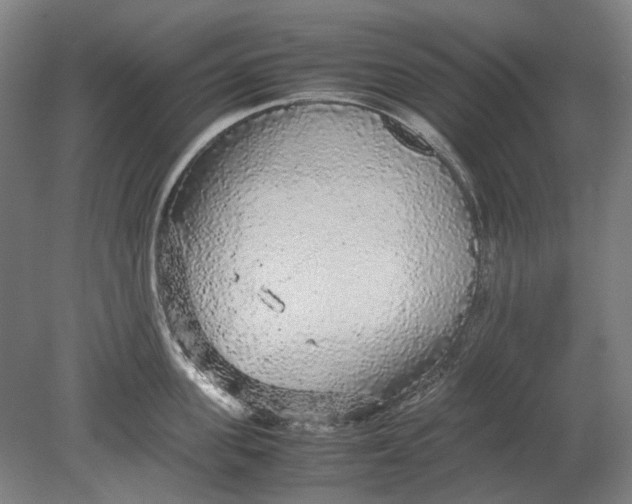 X0000080680955200701051031