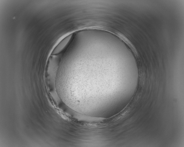 X0000080680956200701051031