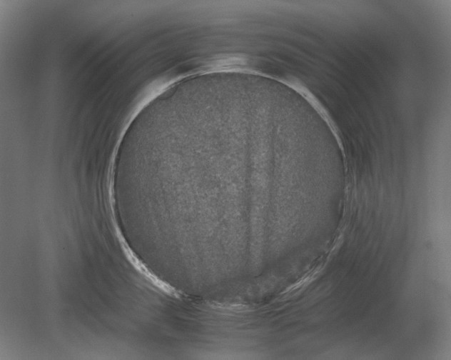 X0000080680957200701051031