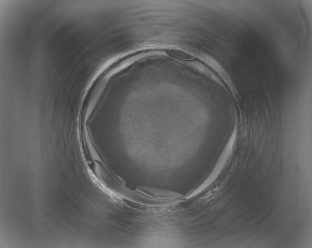 X0000080680958200701051031