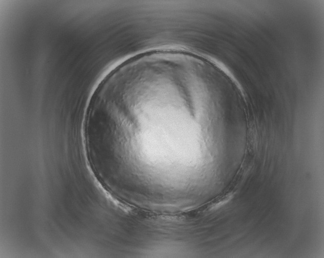 X0000080680959200701051031