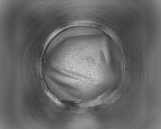 X0000080680960200701051031