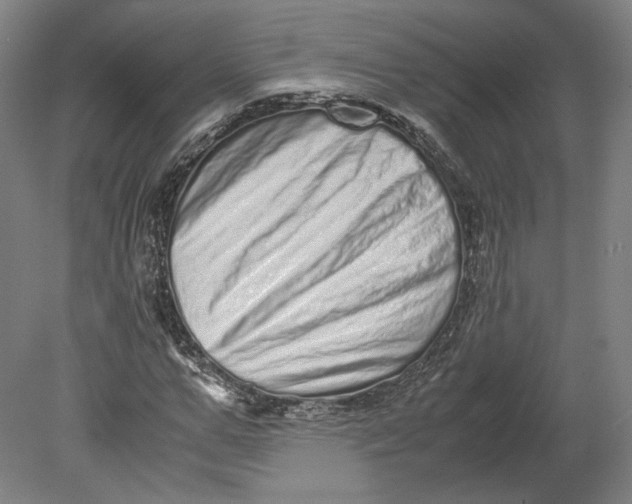 X0000080680967200701051030