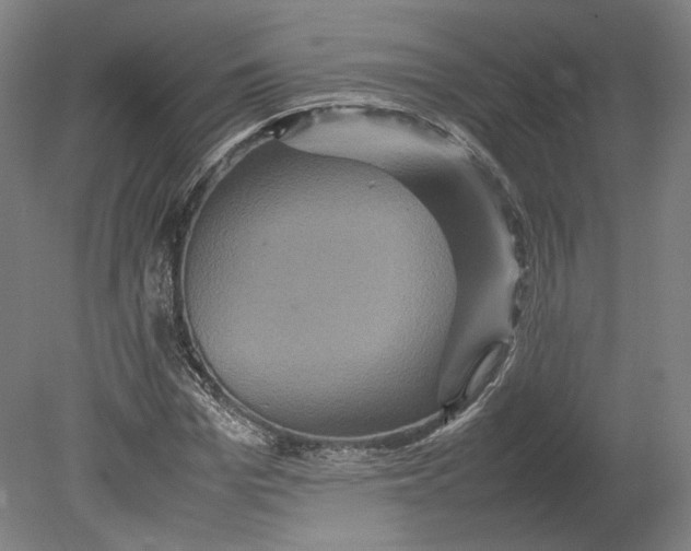 X0000080680969200701051030