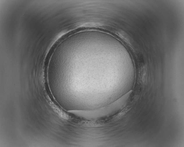 X0000080680976200701051030