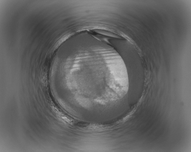 X0000080680977200701051030