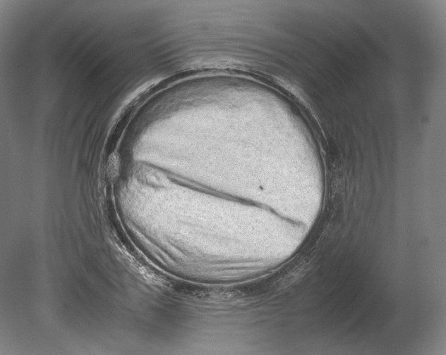 X0000080680979200701051030