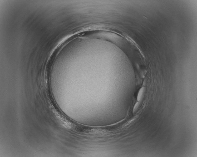 X0000080680981200701051030