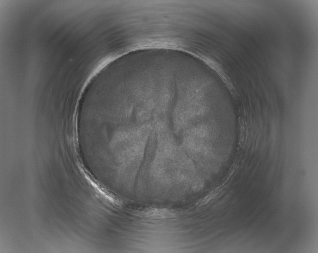 X0000080680982200701051030