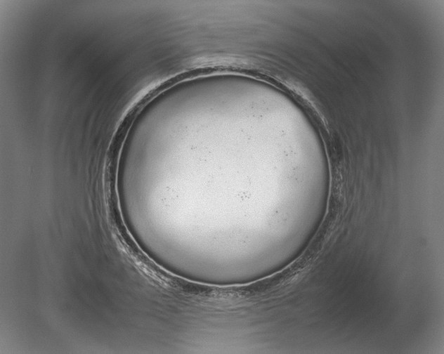 X0000080680983200701051030