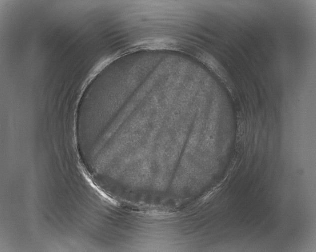 X0000080680986200701051030