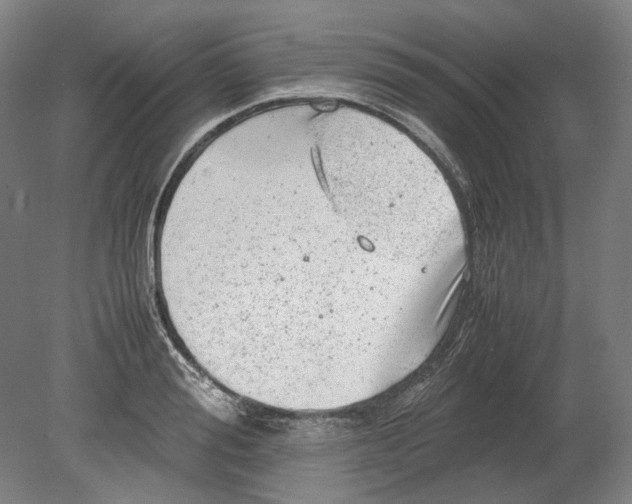 X0000080680988200701051030