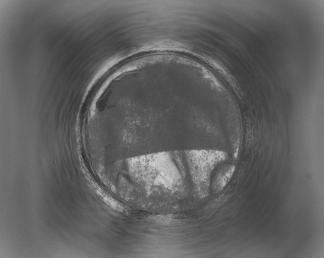 X0000080680990200701051030