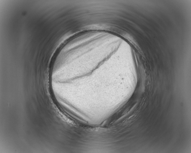 X0000080680992200701051029