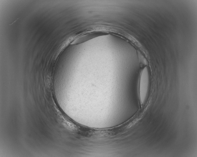 X0000080680993200701051029