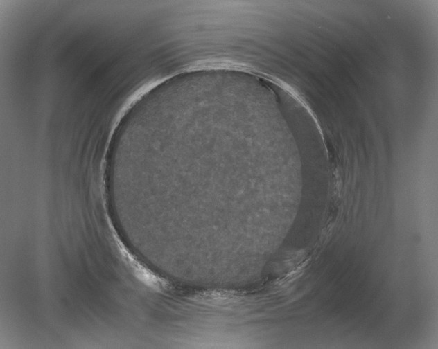 X0000080680995200701051029