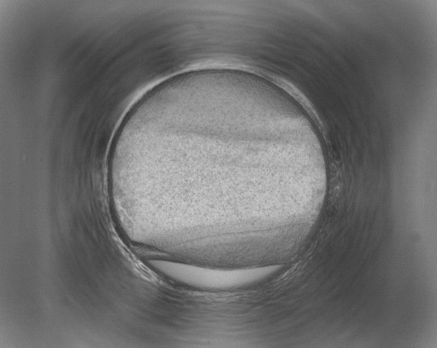 X0000080680996200701051029