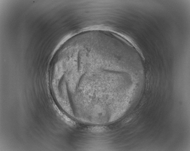 X0000080680998200701051029