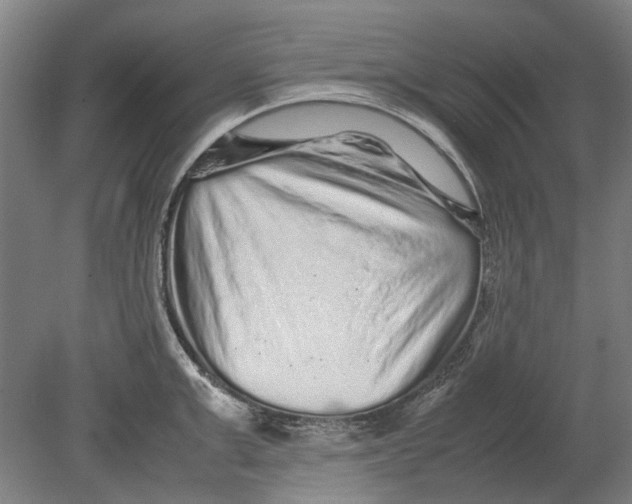 X0000080680999200701051029