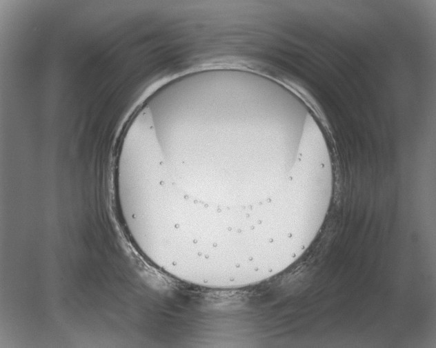 X0000080681000200701051029