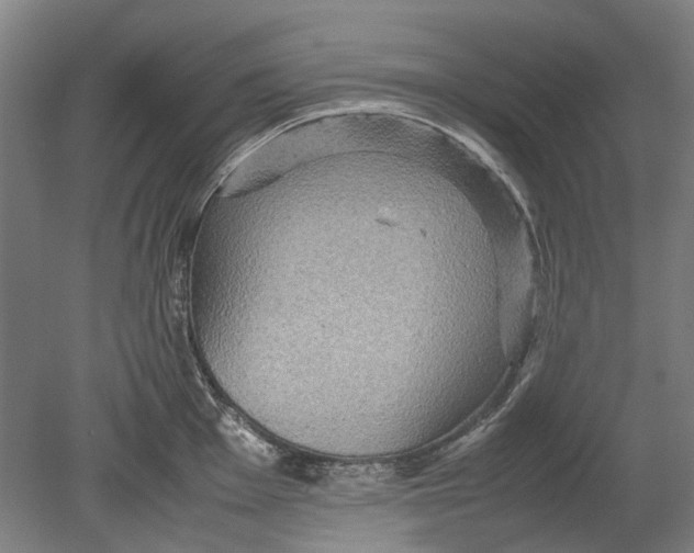 X0000080681001200701051029