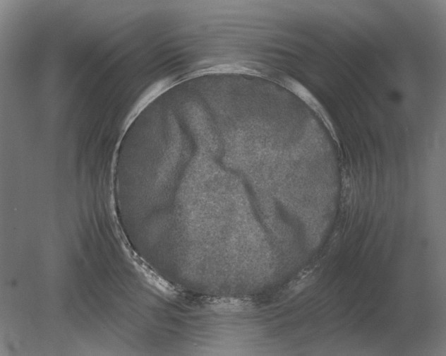 X0000080681002200701051029