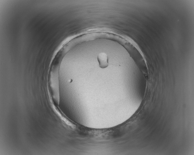 X0000080681005200701051029