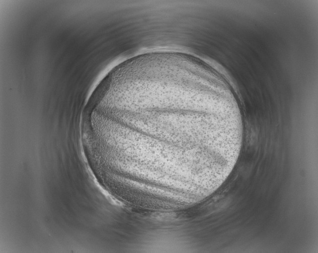 X0000080681006200701051029