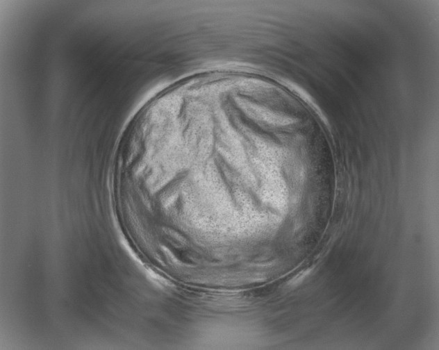 X0000080681007200701051029