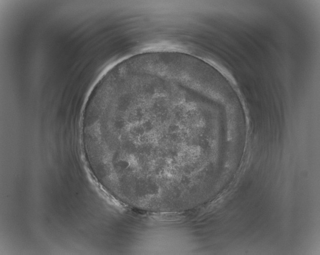 X0000080681008200701051029