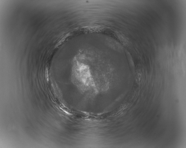 X0000080681010200701051028