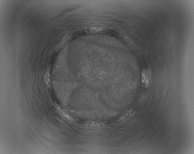 X0000080681011200701051028