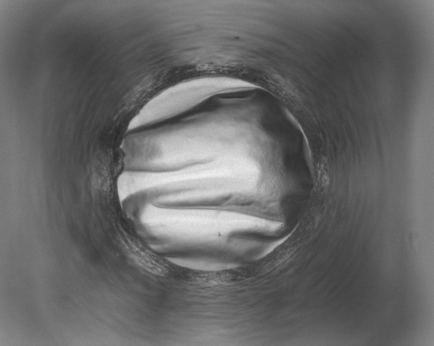 X0000080681012200701051028