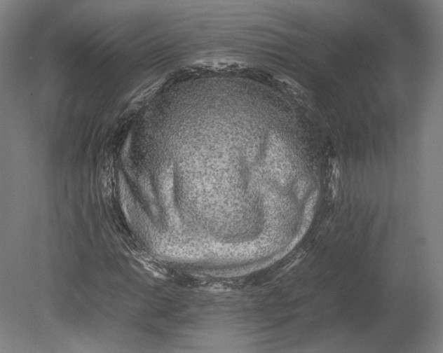 X0000080681014200701051028